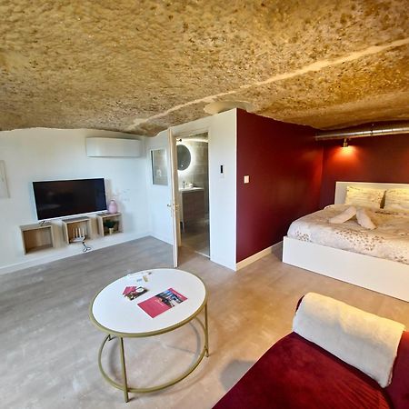 Le Cocon Troglodyte Apartment Saint-Etienne-de-Chigny Bagian luar foto