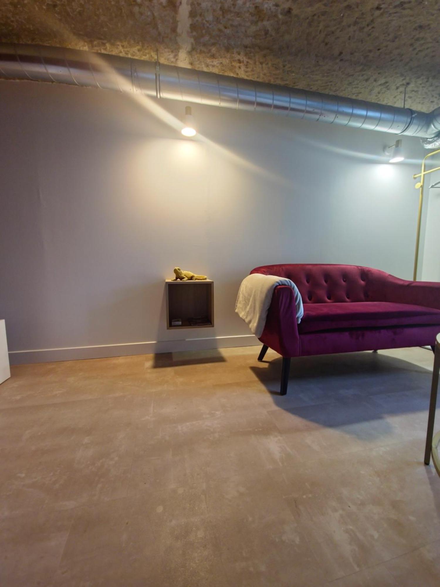 Le Cocon Troglodyte Apartment Saint-Etienne-de-Chigny Bagian luar foto