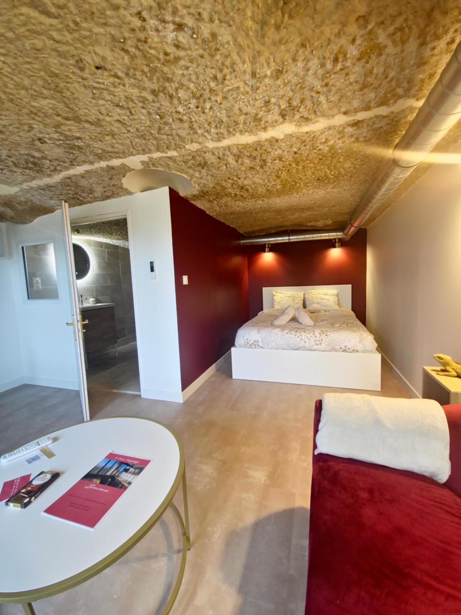 Le Cocon Troglodyte Apartment Saint-Etienne-de-Chigny Bagian luar foto